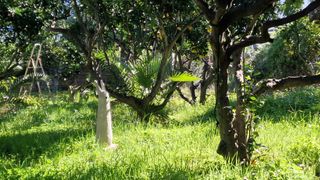 Escultura Hormigón Vigilante Jardín