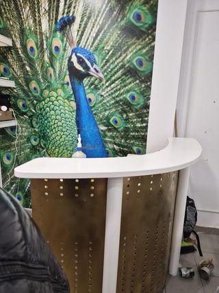 Mostrador blanco y dorado