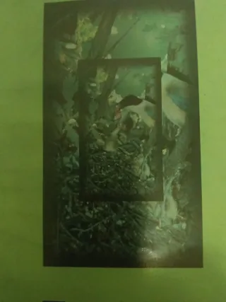 Cinta VHS Molotov - Tipo