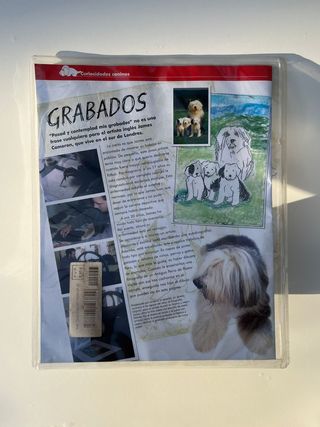 PERRO PELUCHE THE DOG COLLECTION Nº43