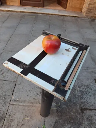 Margenadora de fotos antigua