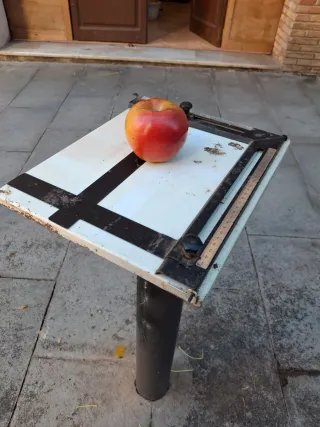 Margenadora de fotos antigua