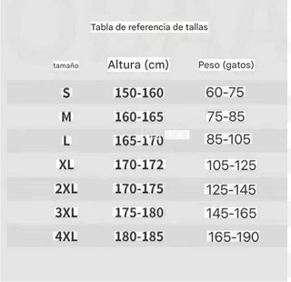 Conjunto deportivo camiseta y pantalón