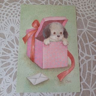 Lote 4 postales perritos Coni (costanza)