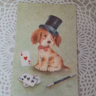 Lote 4 postales perritos Coni (costanza)