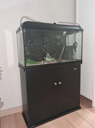 Acuario peces con mesa