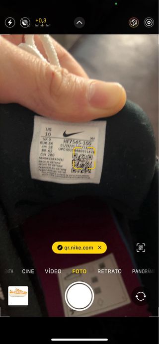 Nike Air Max 95 SB Cactus Flower Talla 44