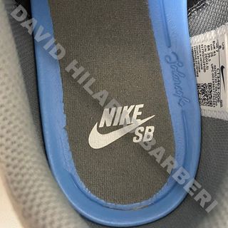 Zapatillas Nike SB Charge Grises