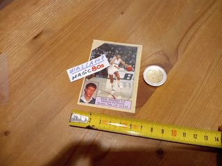 CROMO PEGATINA DRAZEN PETROVIC CONVERSE #114 1989