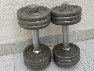 Banco de Gimnasio JX Fitness + Mancuernas Tentable