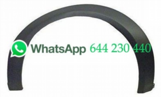 ALETÍN DELANTERO IZQUIERDO FORD TRANSIT CONNECT 2