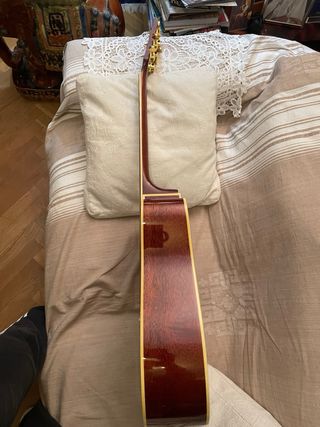 Guitarra Electroacústica Ibanez AW