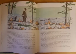 Libro Zanna bianca edizione 1965