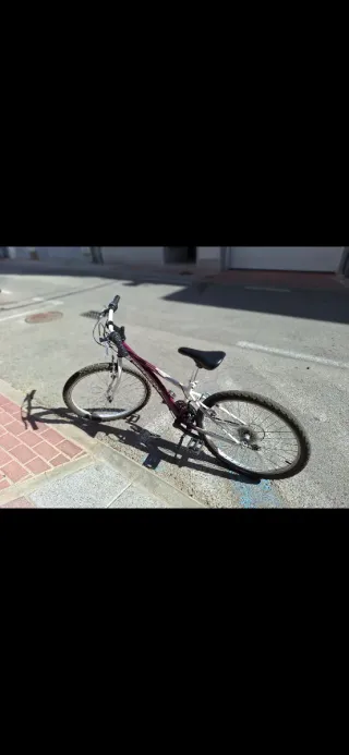 Bicicleta infantil morada y plateada