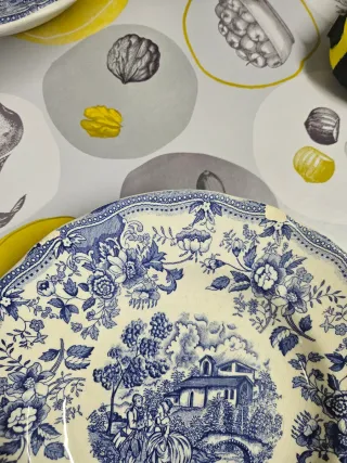 Lote 2 platos y 2 ensaladeras Iroston