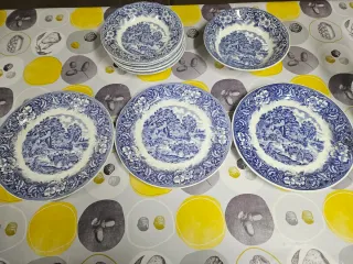 Lote 9 piezas: Ensaladera y 5 platos hondos y 3 ll