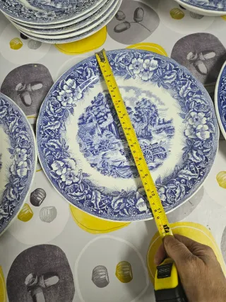 Lote 9 piezas: Ensaladera y 5 platos hondos y 3 ll