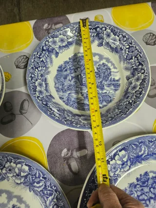 Lote 9 piezas: Ensaladera y 5 platos hondos y 3 ll