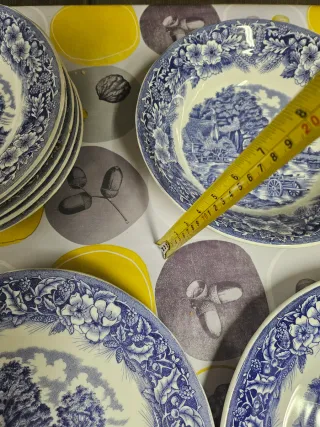 Lote 9 piezas: Ensaladera y 5 platos hondos y 3 ll