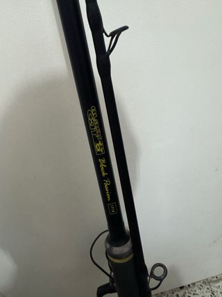 Caña Pesca Spinning