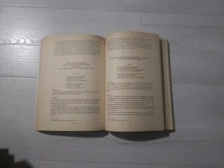 Nostradamus: Historiador y profeta