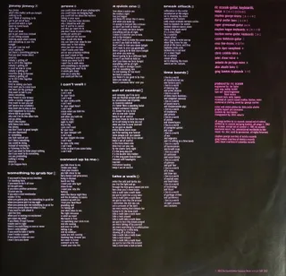 LP Vinilo. Ric Ocasek (líder The Cars) Beatitude