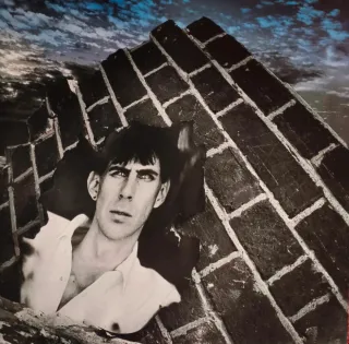 LP Vinilo. Ric Ocasek (líder The Cars) Beatitude