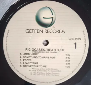 LP Vinilo. Ric Ocasek (líder The Cars) Beatitude