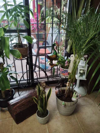 Soporte forja bicicleta macetas