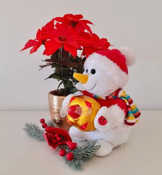 Peluche Muñeco Nieve