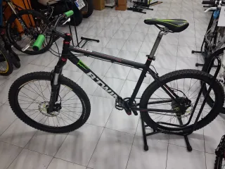 Bicicleta de Montaña