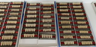 Tablillas Dientes Prótesis Dental