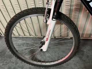 Bicicleta Montaña
