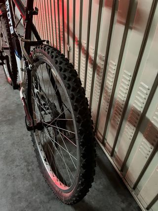 Bicicleta Montaña
