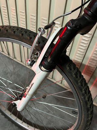 Bicicleta Montaña