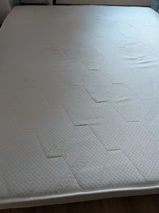 Materasso matrimoniale WaterFoam