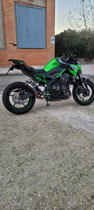 Kawasaki Z900 2022 Verde