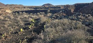 Terreno en venta en La Oliva pueblo en Oliva (La)