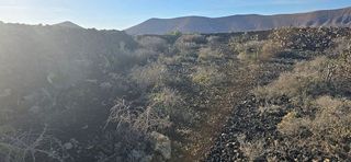 Terreno en venta en La Oliva pueblo en Oliva (La)