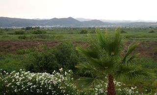 Casa pareada en alquiler en Almenara