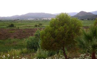 Casa pareada en alquiler en Almenara