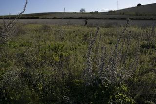 Solar en venta en La Banda - Campo de Fútbol en Chiclana de la Frontera