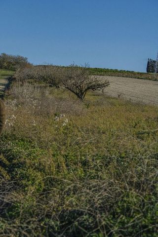 Solar en venta en La Banda - Campo de Fútbol en Chiclana de la Frontera