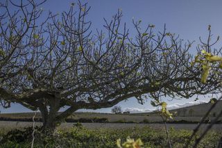 Solar en venta en La Banda - Campo de Fútbol en Chiclana de la Frontera
