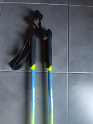 Bastones de esquí Dynafit