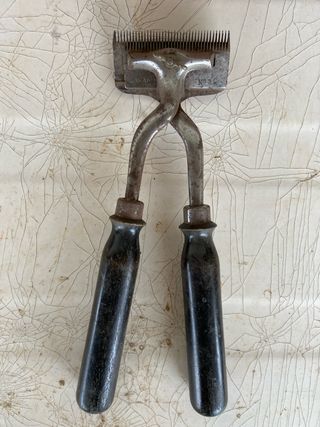 Tijeras esquiladoras caballos antiguas