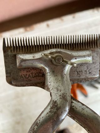 Tijeras esquiladoras caballos antiguas