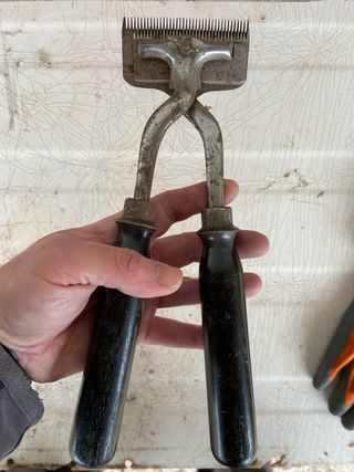 Tijeras esquiladoras caballos antiguas