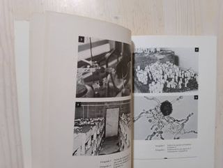 LIBRO CULTIVO DEL CHAMPIÑÓN, LA TRUFA Y OTROS HONG