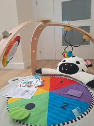 Gimnasio Bebé Baby Einstein